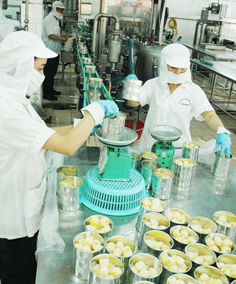 Rambutan fruits being processed for export at a company in Ho Chi Minh City (Photo: SGGP) Rambutan fruits being processed for export at a company in Ho Chi Minh City (Photo: SGGP)